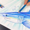 SOC shark coloring book