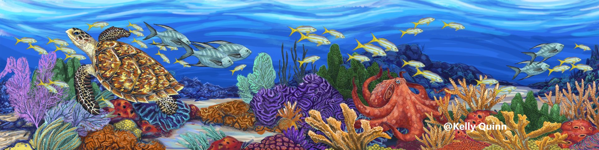 marine life mural