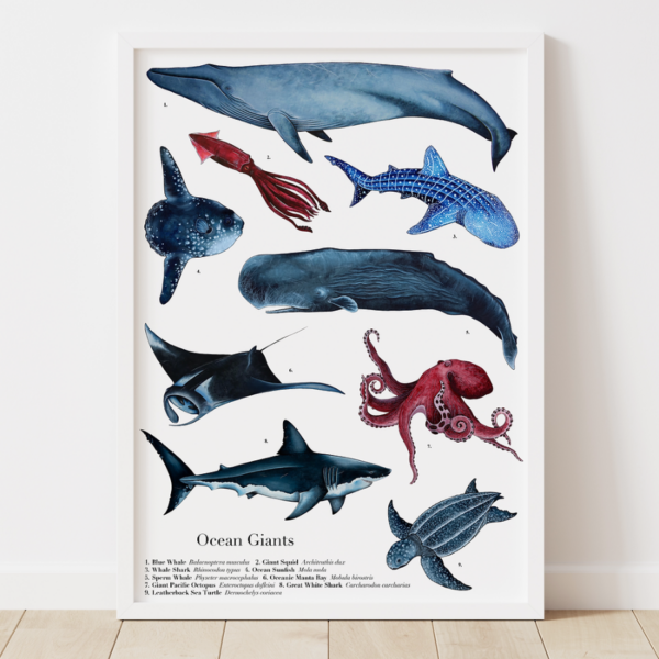 Ocean Giants Print